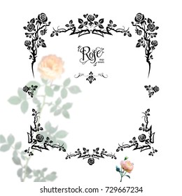 Graphic silhouette of roses for holiday decorations, wedding, anniversary, party, birthday. For invitation, ticket, leaflet, banner, poster and so on. Fairy floral flourish design elements