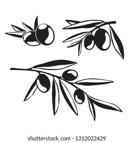 Graphic silhouettes of olive tree branches