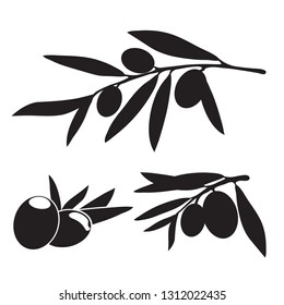 Graphic silhouettes of olive tree branches