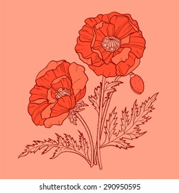 Graphic silhouettes of two poppies in red