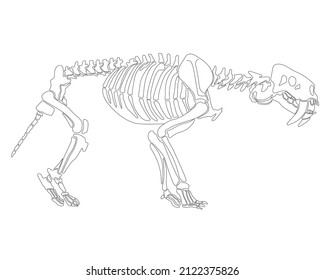 Graphic skeleton of a smilodon on a white background. vector illustration.