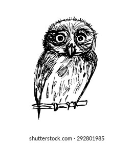graphic sketch bird owl in black ink vector illustration