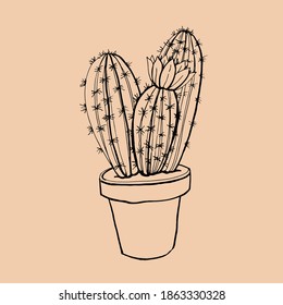 Graphic sketch Cactus. Vector illustration. Manual graphics.