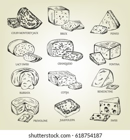 Dibujo gráfico de diferentes iconos de quesos. Conjunto de vectores de productos lácteos realistas. Colección de cuajos aislados utilizada para el diseño del logo, libro de recetas, publicidad de queso o menú de restaurante.