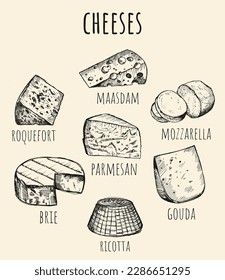 Graphic sketch of different cheeses. Isolated curds collection used for logo design, recipe book, advertising cheese or restaurant menu.