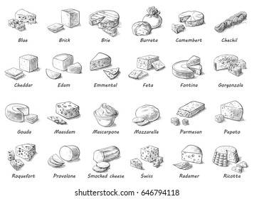 Graphic sketch of different cheeses. Vector set of realistic outline dairy products. Isolated curds collection used for logo design, recipe book, advertising cheese or restaurant menu.