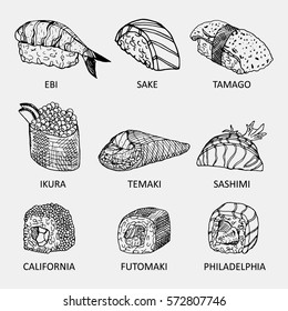 Graphic sketch of different kinds of sushi. Vector temaki, philadelfia, california, futomaki, sake, ebi, ikura, tamago and sashimi icons. Hand drawn tasty rolls used for advertising sushi menu.