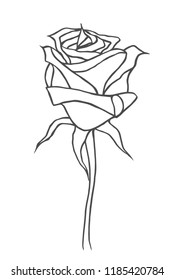 Graphic Sketch Drawing Rose Logotype Drawing Stock Vector (Royalty Free ...