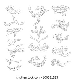 Graphic sketch of flower components on white background.