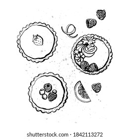 Graphic sketch of Tarts. Vector illustration. Manual graphics.