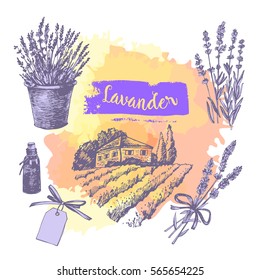 Graphic sketches with lavender. Graphic lavender set. Illustration for greeting cards, invitations, and other printing projects.