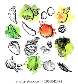 Graphic sketches of vegetables and fruits