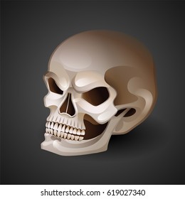 Graphic skull with fearful smile. Vector tattoo art isolated on dark background