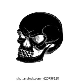 Graphic skull with fearful smile. Vector art isolated on white background