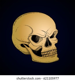 Graphic skull with fearful smile. Vector art in golden colors