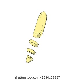 Graphic sliced banana fruit in cut pieces, vector tropical farm food. Realistic unpeeled banana cut on slice pieces in closeup for sweet dessert or organic juice package
