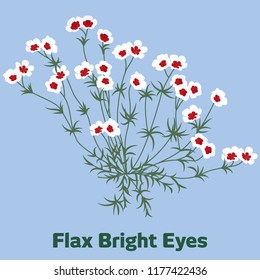 The graphic of small white flowers with red in the middle.