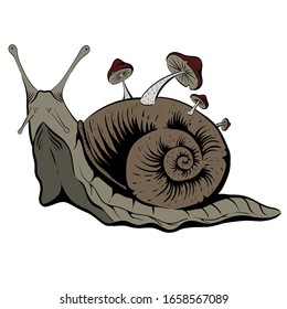 Graphic snail with mushrooms on it's shell; vector illustration EPS8