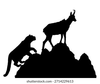 Grafik Schneeleopard jagt Gämse Ziege auf Klippe Vektor Silhouette einzeln. Wilde Katze auf der Jagd lauert Beute. Panther. Stilles Raubtier. Tierwandern Klettern Tier Fleischfresser Jagd Pflanzenfresser.