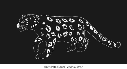 Graphic Snow leopard chasing vector illustration isolated on background. Wild cat in hunt lurking prey. Panther symbol. Silent predator. Wildlife animal carnivore.