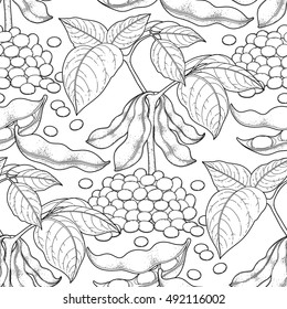 Graphic soybean collection drawn in line art style. Vector seamless pattern in black and white colors. Coloring book page design for adults and kids.