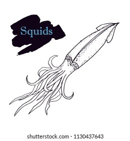 Graphic squid template