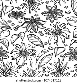 Graphic star anise flower. Vector pattern. Coloring book page for adults and kids