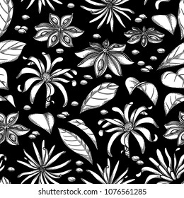 Graphic star anise flower. Vector seamless pattern. Coloring book page for adults and kids