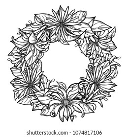 Graphic star anise wreath isolated on white background. Coloring book page for adults and kids