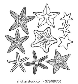 Graphic starfish collection drawn in line art style. Vector Sea and ocean creatures isolated on white background. Coloring book page design for adults and kids