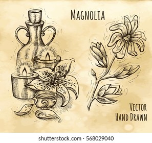Graphic still life with natural cosmetics, candles, lily and magnolia flower. Hand drawn engraved illustration. Vintage drawing in sketch style. Aromatic perfumery plant set