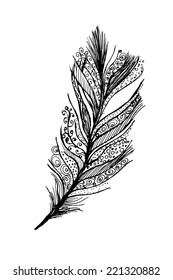 Graphic stylized bird feather. Vector