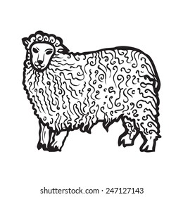 graphic stylized image of a sheep with black lines on a white background