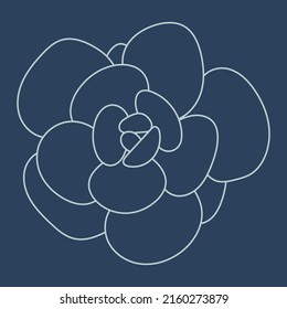 Gráfica suculenta. Ilustración plana vectorial dibujada a mano, boceto. Elemento para el diseño. Arte de línea.