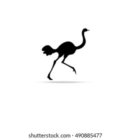 Graphic symbol of ostrich isolated on white background for design