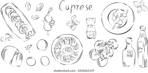 Graphic tomatoes and olives hand drawn vector illustration. Ingredients for Italian restaurant or mediterranean food. Caprese salad with food elements clip art. Delicious Italian appetizer 