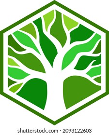 Icono de hexágono abstracto de árbol gráfico