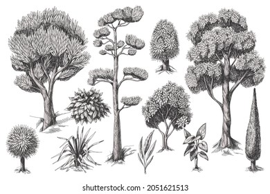 Graphic trees and bushes isolated for Interior print