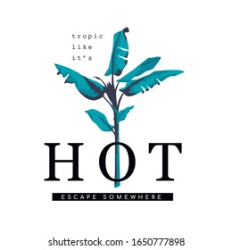 Graphic for t-shirt design, cards, prints and posters with a plam tree and slogan.