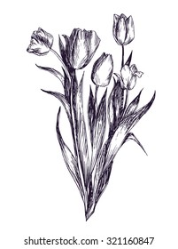 Graphic tulip