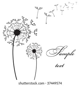 Graphic two dandelion on the wind vector picture