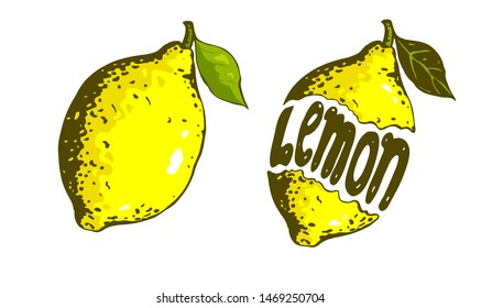 Graphic two yellow lemon on white background with inscription lemon inside.  Beautiful illustration of citrus for food design.