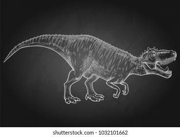Graphic Tyrannosaurus Rex. Vector dinosaur isolated on the chalkboard. Animal of the prehistoric period in engraving technique