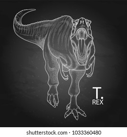 Graphic Tyrannosaurus Rex. Vector dinosaur isolated on the chalkboard. Animal of the prehistoric period in engraving technique