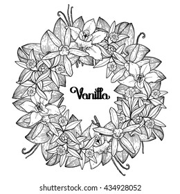 Graphic vanilla wreath. Vector floral decoration. Coloring book page design for adults and kids