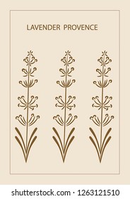 Graphic vector abstract illustration of lavender flowers Provence style