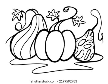 Imagen vectorial gráfica en blanco y negro de tres calabazas para colorear, logotipo, placa, empaque. Calabazas estilizadas de otoño para el Día de Acción de Gracias, Halloween, vacaciones de cosecha. Haciendo garabatos a mano
