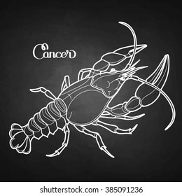 Graphic vector cancer drawn in line art style. Sea and ocean creature isolated on chalkboard. Seafood element. Coloring book page design