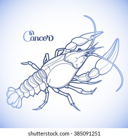 Graphic vector cancer drawn in line art style. Sea and ocean creature in blue colors. Top view. Seafood element. Coloring book page design