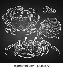 Graphic vector crab collection drawn in line art style. Sea and ocean creature isolated on chalkboard. Top view. Seafood element. Coloring book page design